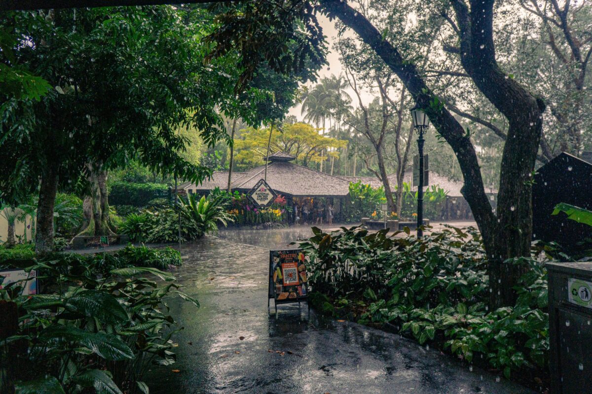 雨のシンガポール